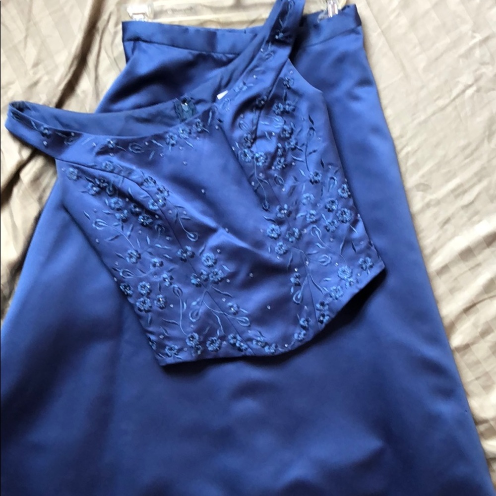 Adult Cinderella Costume